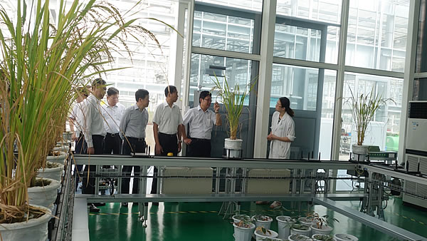 20160824_中國(guó)農(nóng)業(yè)科學(xué)院黨組書記陳萌山一行參觀考察2