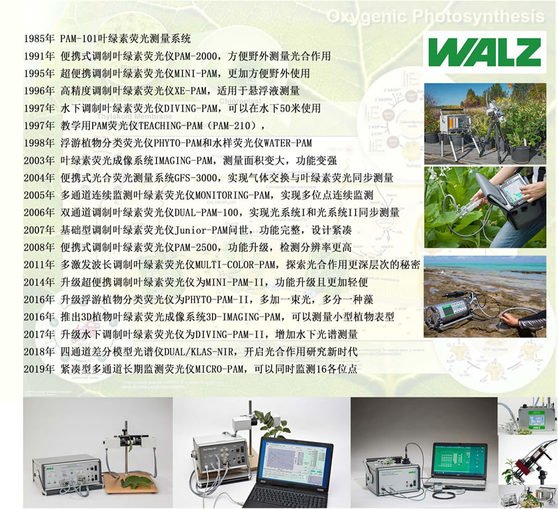 WALZ設備上市時間線.jpg