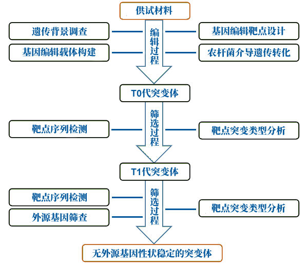 圖223031501.png 圖223031501.png
