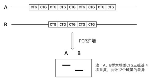圖523032201.jpg 圖523032201.jpg