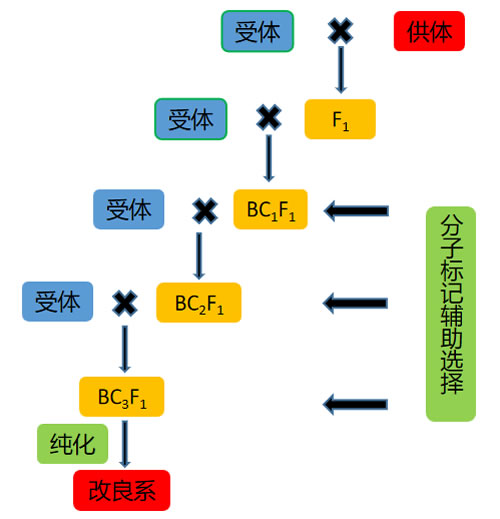 圖1023032201.jpg 圖1023032201.jpg